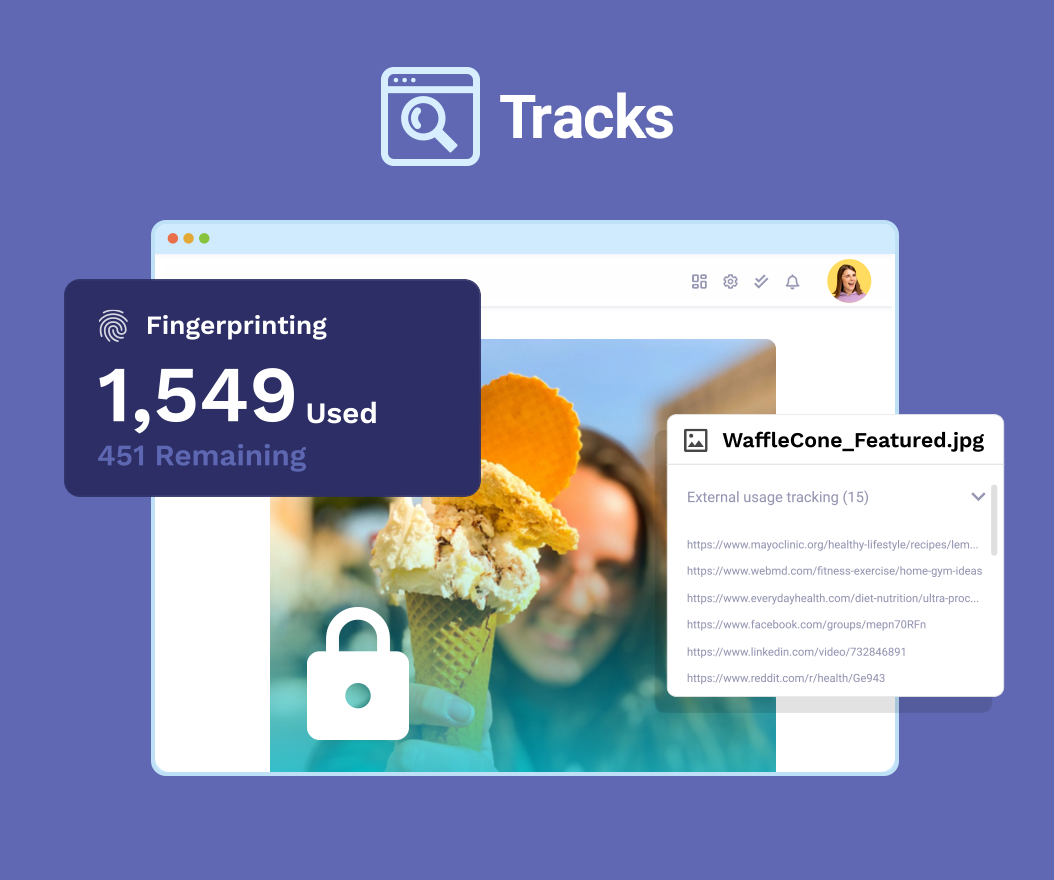 Lytho Tracks - Trace your digital assets online